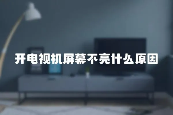 開電視機屏幕不亮什么原因