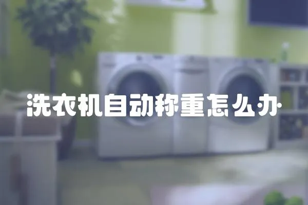 洗衣機自動稱重怎么辦