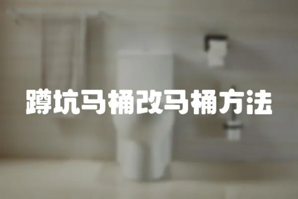 蹲坑馬桶改馬桶方法