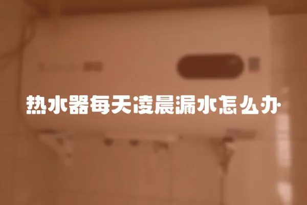熱水器每天凌晨漏水怎么辦