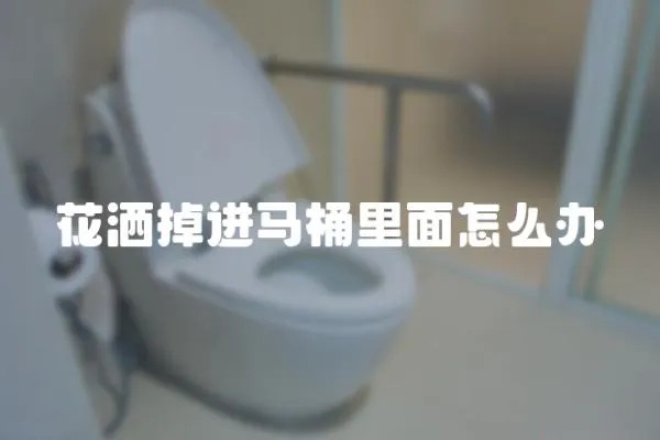 花灑掉進馬桶里面怎么辦