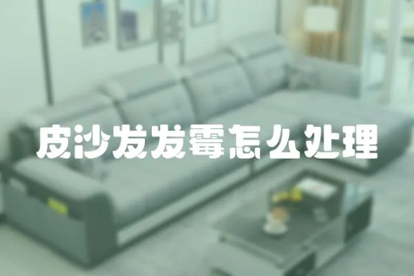 皮沙發(fā)發(fā)霉怎么處理