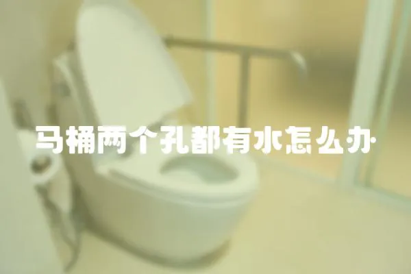 馬桶兩個孔都有水怎么辦