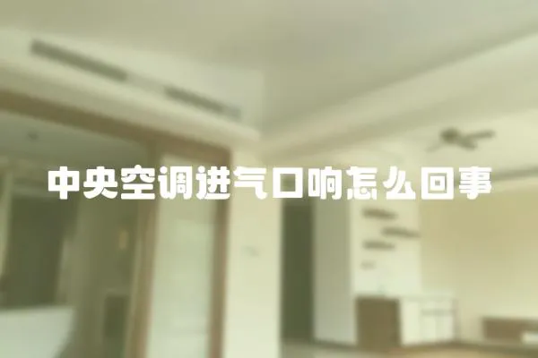 中央空調(diào)進(jìn)氣口響怎么回事
