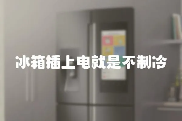 冰箱插上電就是不制冷
