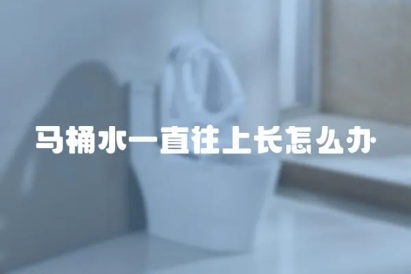 馬桶水一直往上長怎么辦