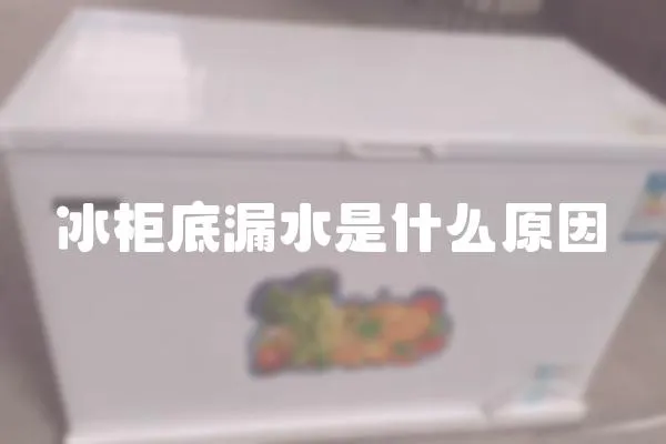 冰柜底漏水是什么原因