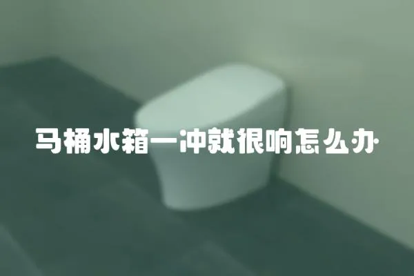 馬桶水箱一沖就很響怎么辦