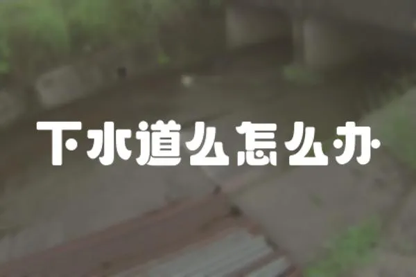 下水道么怎么辦