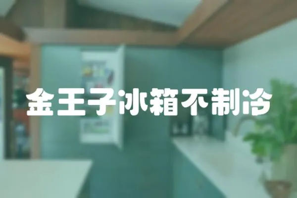 金王子冰箱不制冷