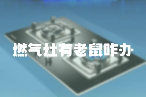 燃?xì)庠钣欣鲜笳k