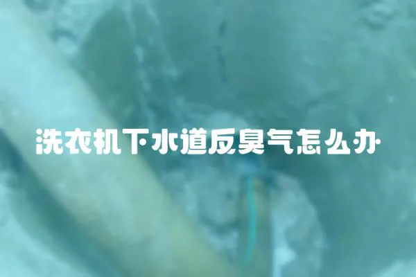 洗衣機下水道反臭氣怎么辦
