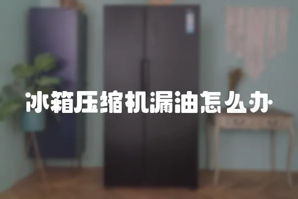 冰箱壓縮機(jī)漏油怎么辦