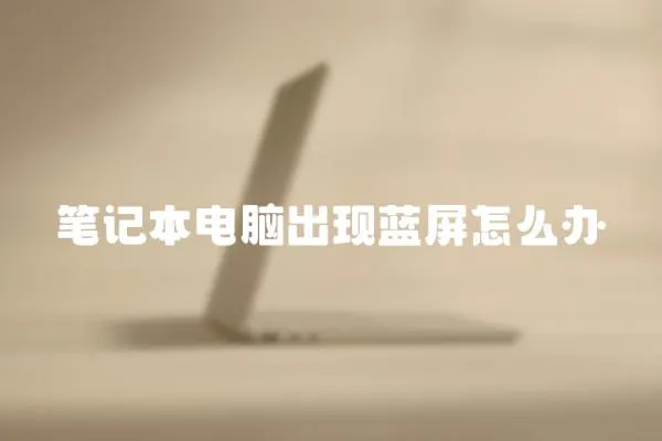 筆記本電腦出現(xiàn)藍屏怎么辦