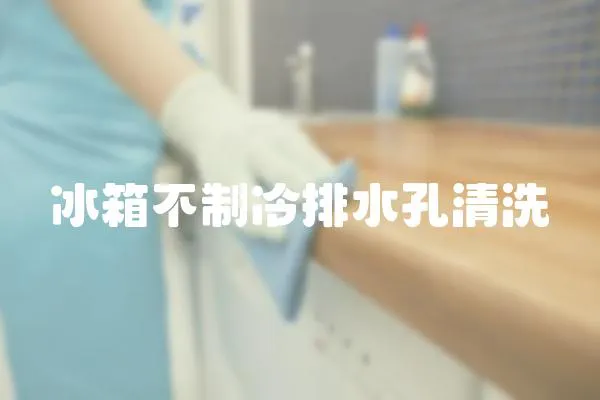 冰箱不制冷排水孔清洗