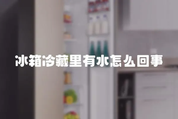冰箱冷藏里有水怎么回事