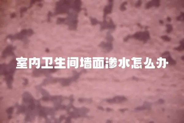 室內衛生間墻面滲水怎么辦