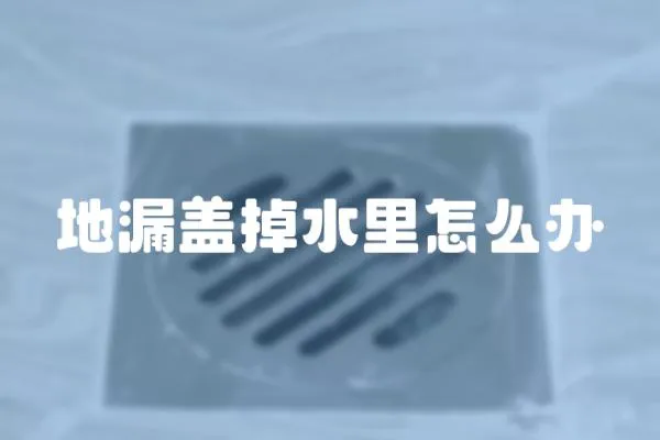 地漏蓋掉水里怎么辦