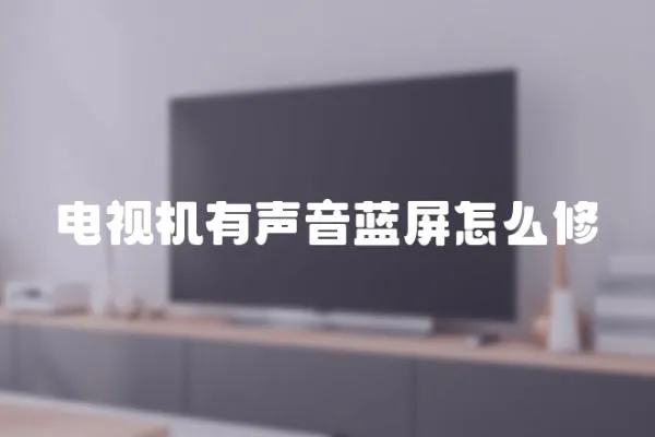 電視機有聲音藍屏怎么修