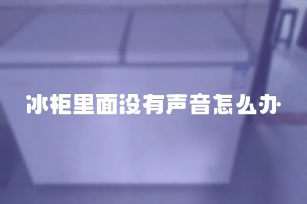 冰柜里面沒有聲音怎么辦