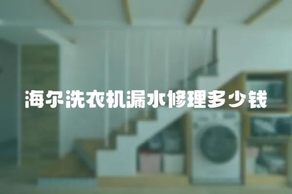 海爾洗衣機漏水修理多少錢