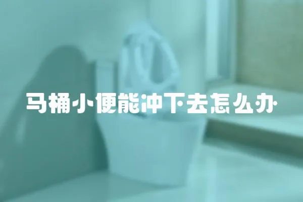 馬桶小便能沖下去怎么辦