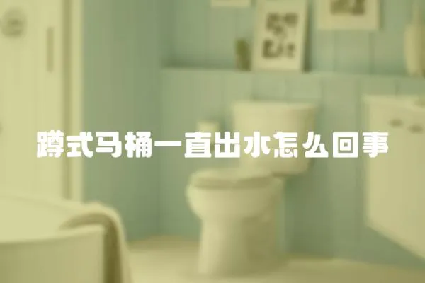 蹲式馬桶一直出水怎么回事
