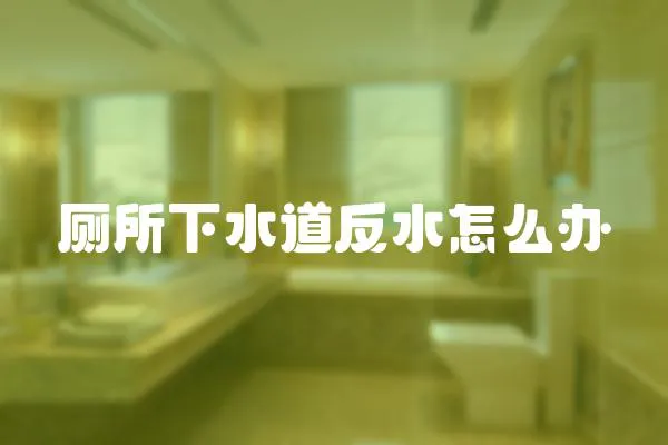 廁所下水道反水怎么辦