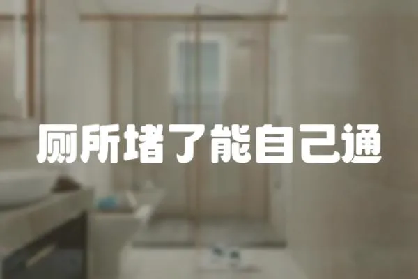 廁所堵了能自己通