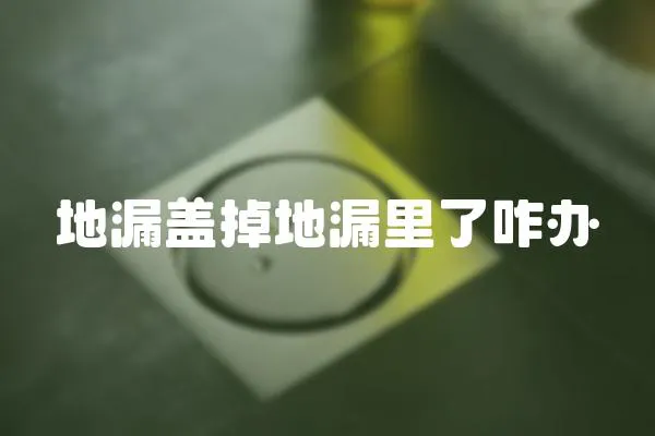 地漏蓋掉地漏里了咋辦