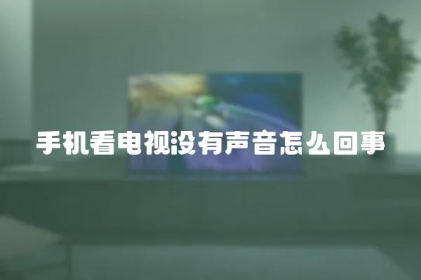手機看電視沒有聲音怎么回事
