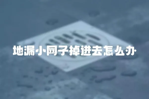 地漏小網子掉進去怎么辦
