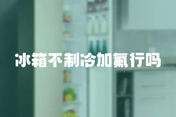 冰箱不制冷加氟行嗎