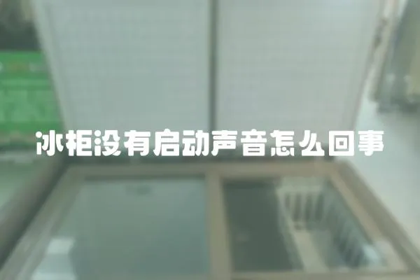 冰柜沒有啟動聲音怎么回事
