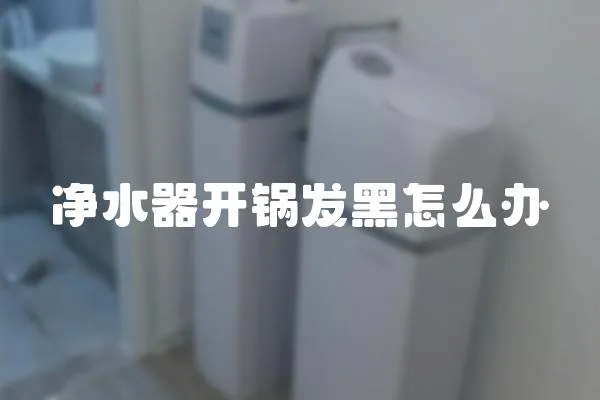 凈水器開鍋發(fā)黑怎么辦
