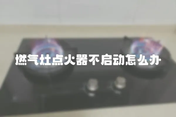 燃氣灶點火器不啟動怎么辦