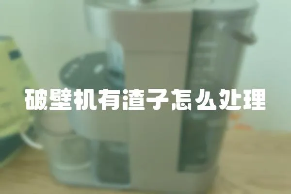 破壁機有渣子怎么處理