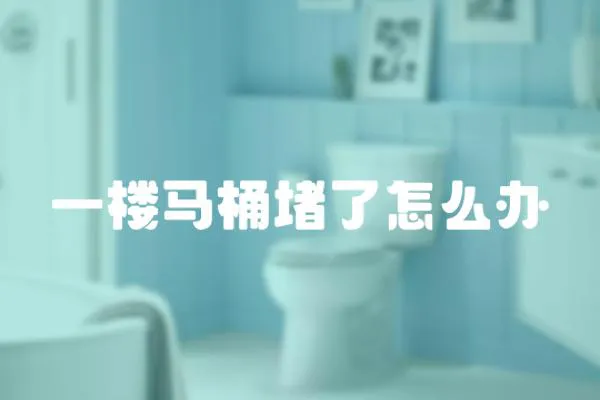 一樓馬桶堵了怎么辦