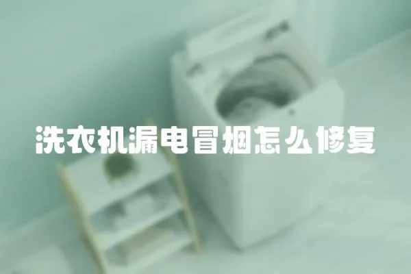 洗衣機漏電冒煙怎么修復