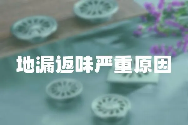 地漏返味嚴(yán)重原因