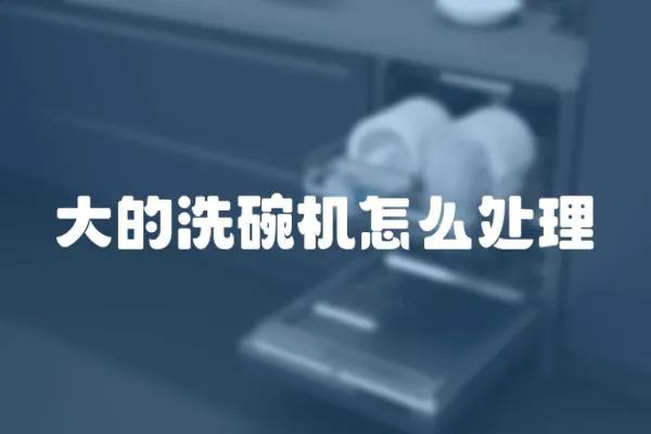 大的洗碗機怎么處理