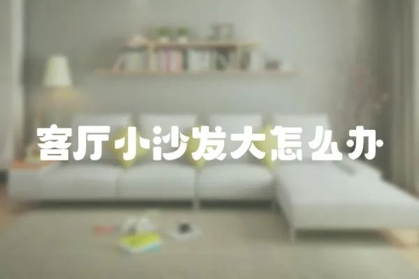 客廳小沙發(fā)大怎么辦