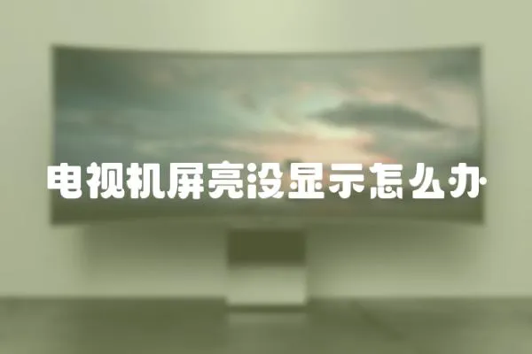 電視機(jī)屏亮沒顯示怎么辦