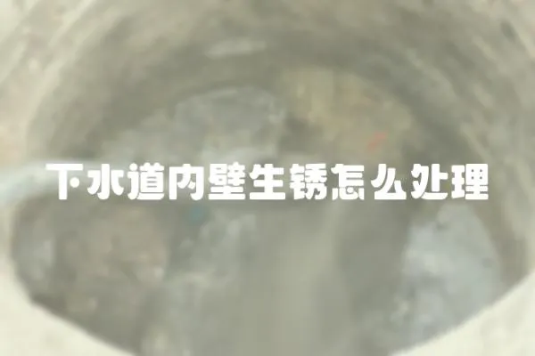 下水道內(nèi)壁生銹怎么處理