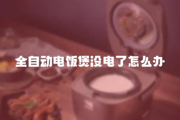 全自動電飯煲沒電了怎么辦