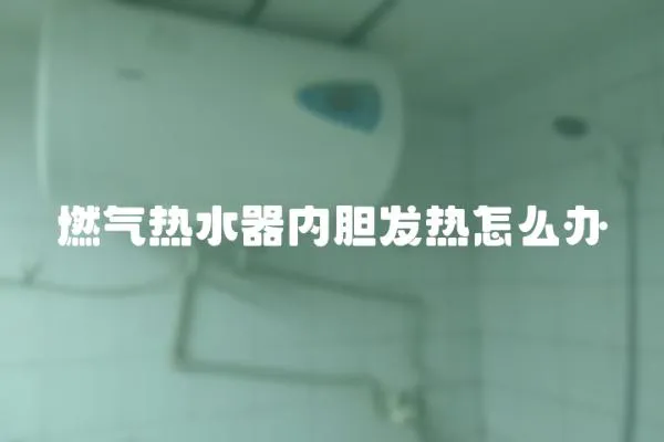 燃氣熱水器內膽發熱怎么辦