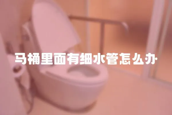 馬桶里面有細(xì)水管怎么辦