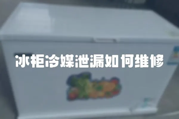 冰柜冷媒泄漏如何維修