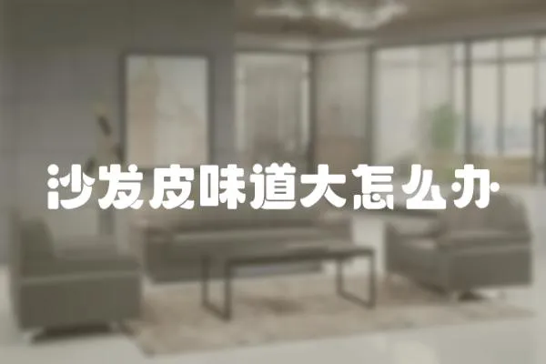 沙發皮味道大怎么辦