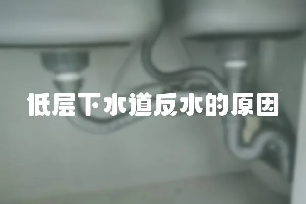 低層下水道反水的原因